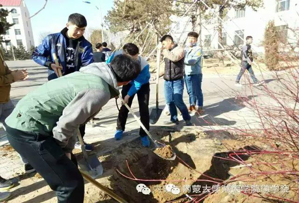 植樹(shù)節(jié)特別活動(dòng)——校園綠化從我做起