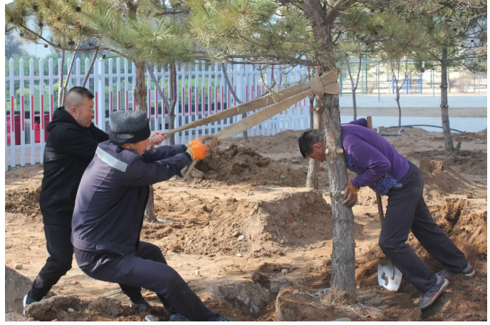 內(nèi)師大鴻德學(xué)院在校教職工近一月植樹約600棵