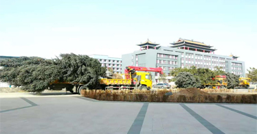 栽大樹、育大才！“首府花園式校園”內(nèi)蒙古鴻德文理學(xué)院打響今年綠化校園“第一槍”