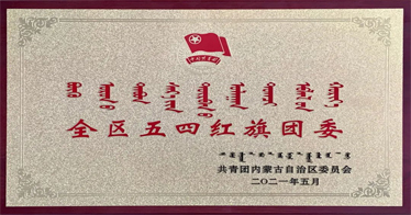 鴻德團委榮獲2020年度“全區(qū)五四紅旗團委”、學生杜慶榮獲“全區(qū)優(yōu)秀共青團員”