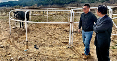 為開設騎馬課做準備 鴻德公共教學部主任許艷軍到馬術(shù)基地考察