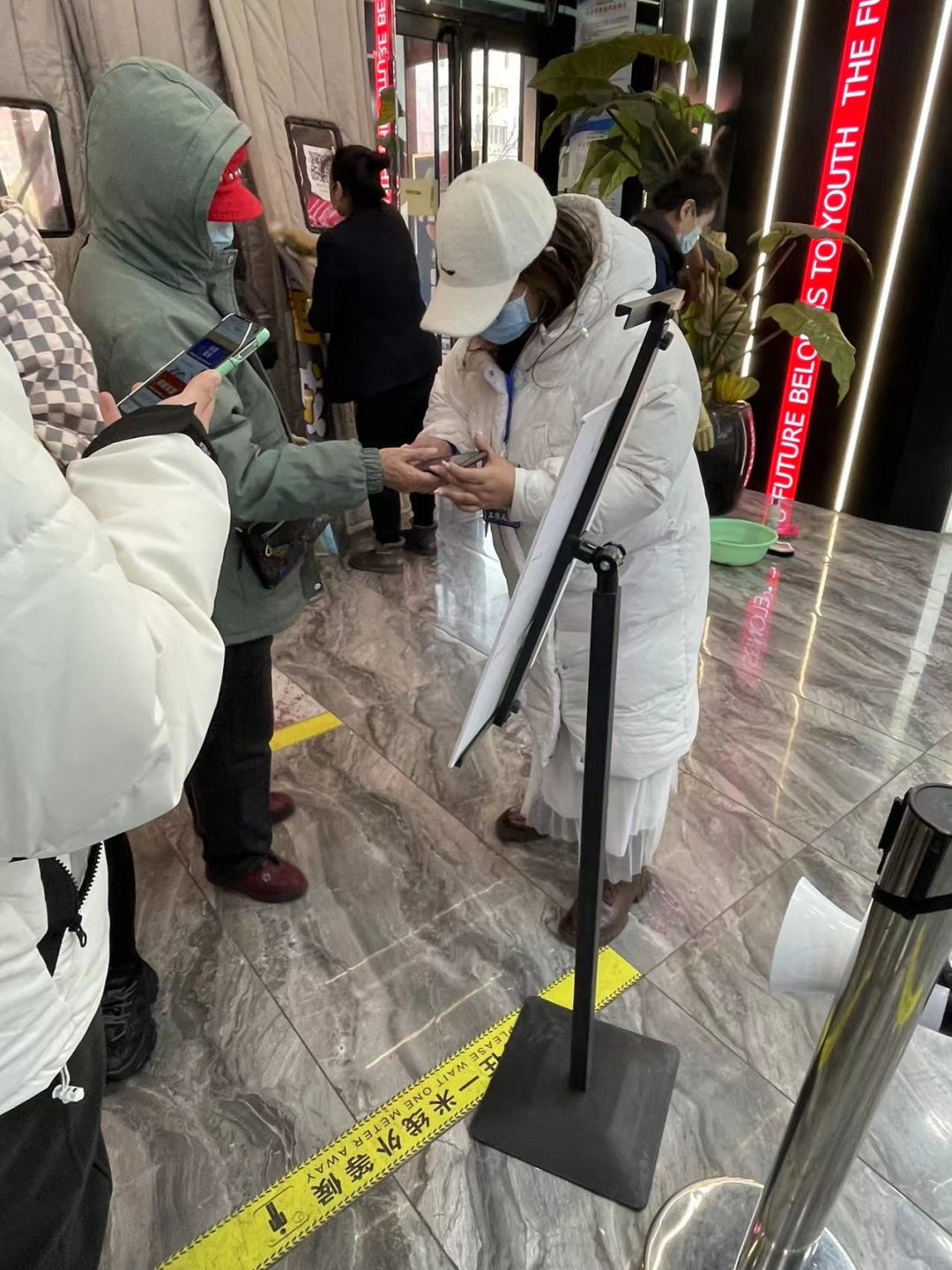 楊.png